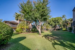 Tropical Oasis 2 bed/1 bath next to Ocean/Beach - Image 4