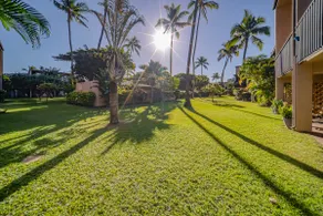 Tropical Oasis 2 bed/1 bath next to Ocean/Beach - Image 5