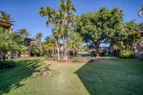 Tropical Oasis 2 bed/1 bath next to Ocean/Beach - Image 3