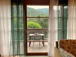 Haus Clara beautiful sunny apartment with garden - Image 5