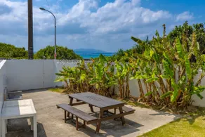 Ocean view from the terrace! - Image 2