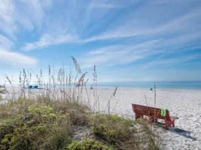 Endless Summer on the Beach - Image 4