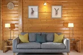 Luxury 3 Bedroom, Scandinavian Lodge with HOT TUB - Image 4