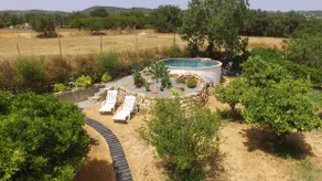 Casa Z, apartment, pool, terrace, orchard - Image 4