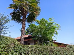 16 km from Stresa, Villa in the hills, Deda maison - Image 2