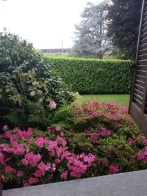 ”Il Gelsomino” Apartment - Image 4