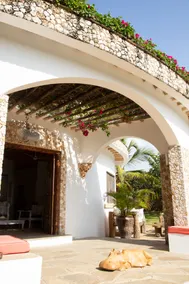 Watamu bliss - Villa with personnel - Image 2