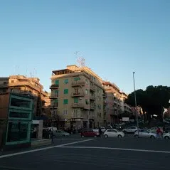 Albero della Vita - Image 3