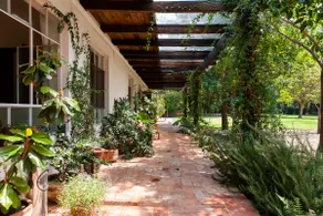 Amazing House in Tepoztlan - Image 5