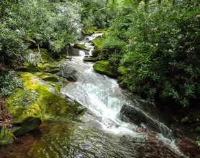 Treetops Lodge - Private Mountain Home in Mt. Mitchell Golf Community - Image 3