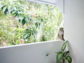 Hillside Nest: Breakfast, Pet-Friendly, Disney+! - Image 2