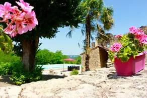 Domaine Lou Peyrol Stone villa Private pool - Image 2