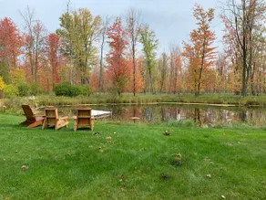 Quiet Country Shed Surrounded by Nature’s Beauty - Image 3