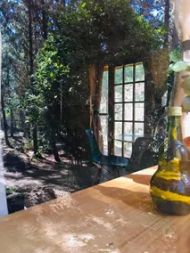 Nice country cabin equipped for 2 people (Quillay) - Image 2