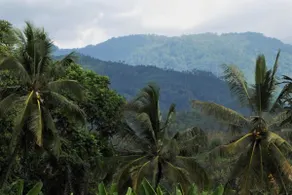 Villa Wana - Mango Mountain Garden, pool, privacy - Image 4