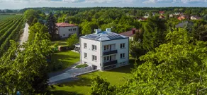 White House Izabelin Family SPA House near Warsaw - Image 2