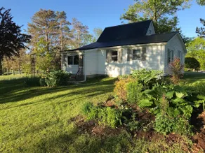Homely country cottage with sunshine and space - Image 2