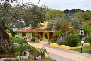 Zina's House - Image 2