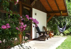 Eco Corner - In the Birch Forest (Karwia) - Image 3