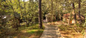ONE OCCASION.......A CABIN !!! - Image 4