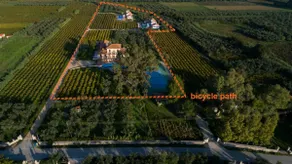 Aneli Luxury Villas-Villa Anastasia - Image 5
