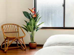 Near Shibuya｜3BR House｜10 Guests｜Large Balcony - Image 3