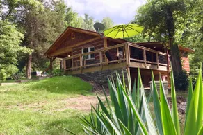 Asheville Cabin-Esque Getaway | 4 Bdrms - Image 2