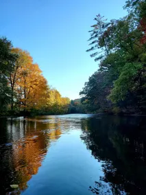 Camden Creek Farm - Image 2