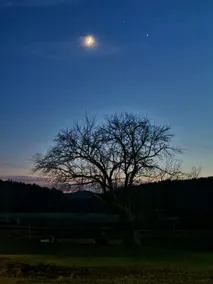 Camden Creek Farm - Image 5