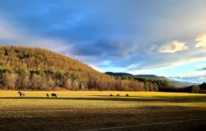 Camden Creek Farm - Image 4