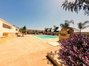 Le cicale - Image 3