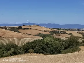Pian'D'olmo, an ancient farmhouse in the heart of Tuscany - Image 2