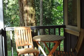 Pvt Cabin 10 acre Forest w/ Fireplace, Dog OK - Image 5