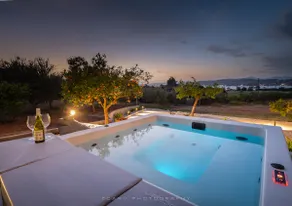 Orange Tree - Image 3