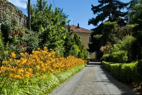 Casa Saracco: una residencia art nouveau rodeada de vegetación - Image 3