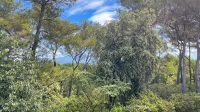 House in Provence – Les Bastidons du Ventoux - Image 3