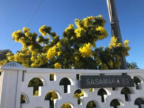 Trullo Sasamaka Sun & Puglia - Image 4