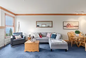 Silver Peaks - 2bed, 2bath ski-in/Ski-out, Hot Tub - Image 3