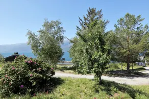 Small and cozy cabin in beautiful Hardangerfjord - Image 3