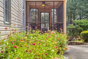 Old Oak Tree in EAV - stylish 3/2, walk to town! - Image 4