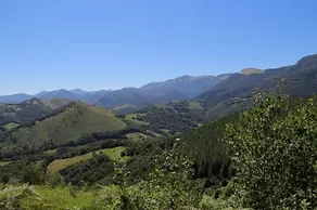 Les Mesanges - Image 5