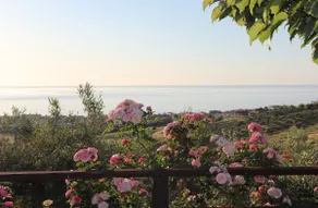 Timpone, entire villa, countryside, Ionian sea view - Image 3