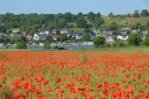 Kanne (B) SUSSERDEL: hiking, biking, Maastricht - Image 2