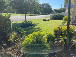 Nanny's Beachside Cottage - Image 5