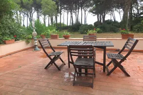 Villa nestled in a pine forest with access to the sea - Image 3