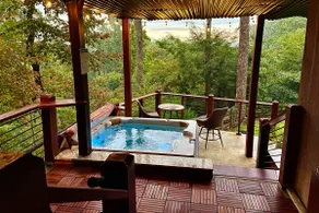 Luxury 5BR Blue Ridge Mtn Cabin • Hot Tub • Pets - Image 2