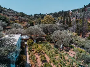 Kleines Paradies Andros - Image 3