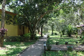 Bissa Villa - Calm Double Lodge white - Image 4