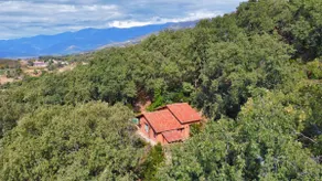 House of the Strawberry Trees - Image 4