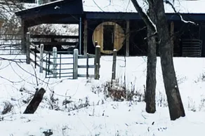 Driftless Region Cabin/ Stream and Sauna - Image 3
